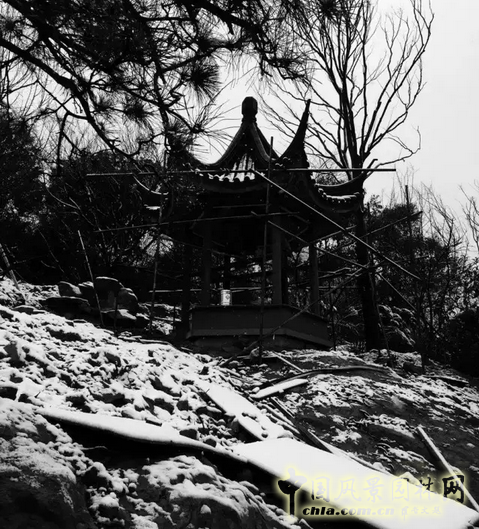 2016園冶杯專業(yè)獎參賽項目：北辰旭輝壹號院