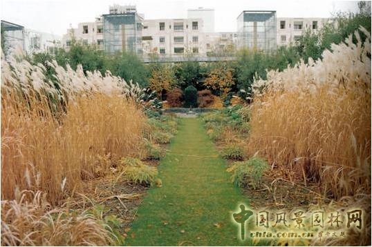 【園冶講壇】劉志成：風(fēng)景園林設(shè)計(jì)的形式