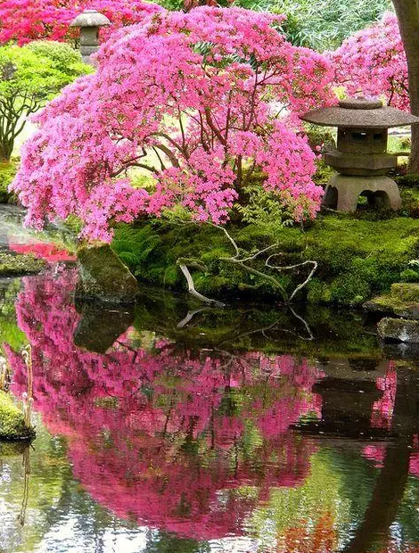 園林鑒賞：日本庭院中的美學(xué)禪意