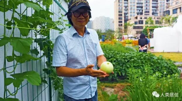 同濟大學景觀學系劉悅來老師談社區(qū)農(nóng)園