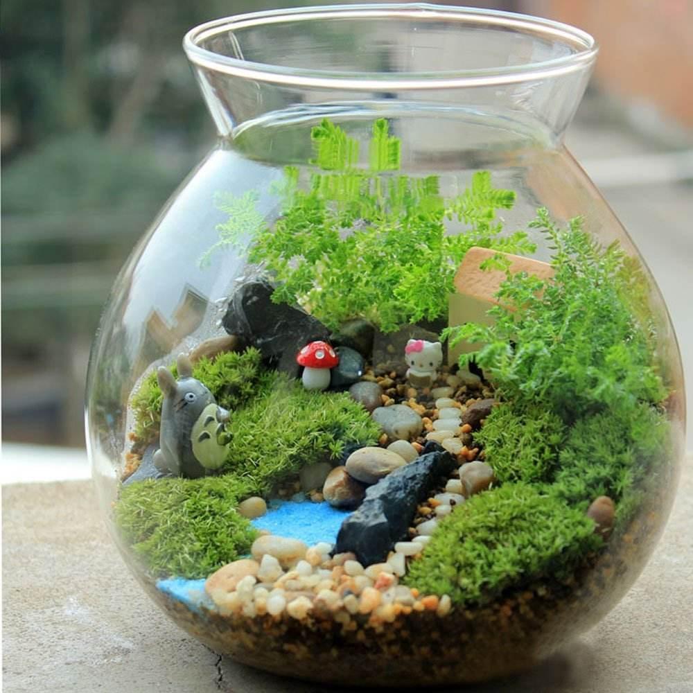 自己動(dòng)手制作玻璃植物景觀