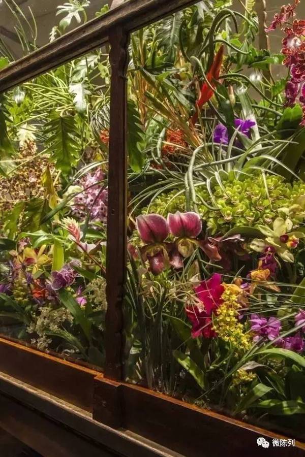 櫥窗布置：植物世界可以多極致？