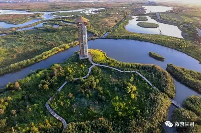 美麗的張掖國(guó)家濕地公園