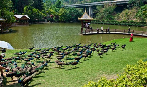 國(guó)內(nèi)最美的森林公園你去過幾個(gè)？