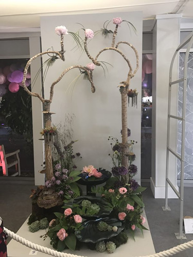 2017英國景觀專業(yè)考察Day3：切爾西花展