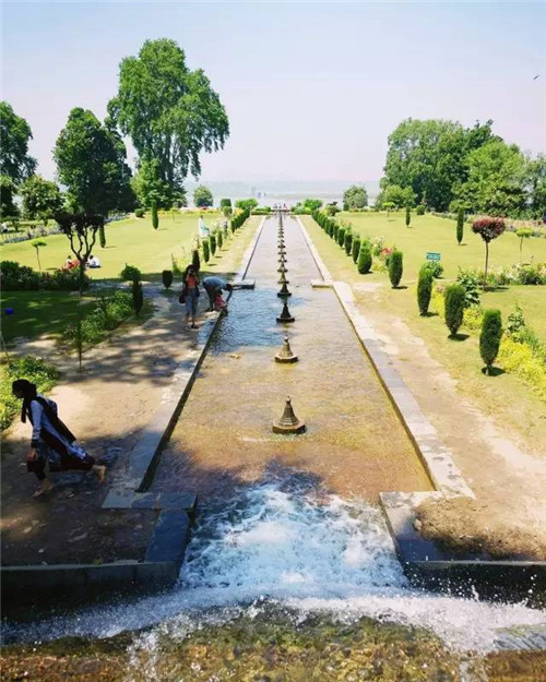 世界上這些驚為天人的植物園你都知道嗎？