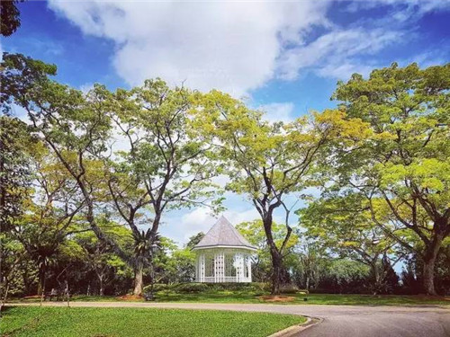 世界上這些驚為天人的植物園你都知道嗎？