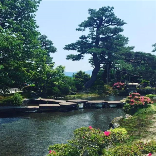 世界上這些驚為天人的植物園你都知道嗎？