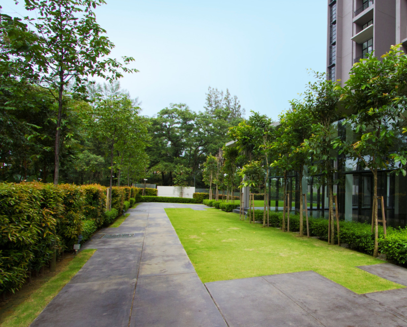 森林的再現(xiàn)-馬來(lái)西亞Azelia住宅區(qū)景觀