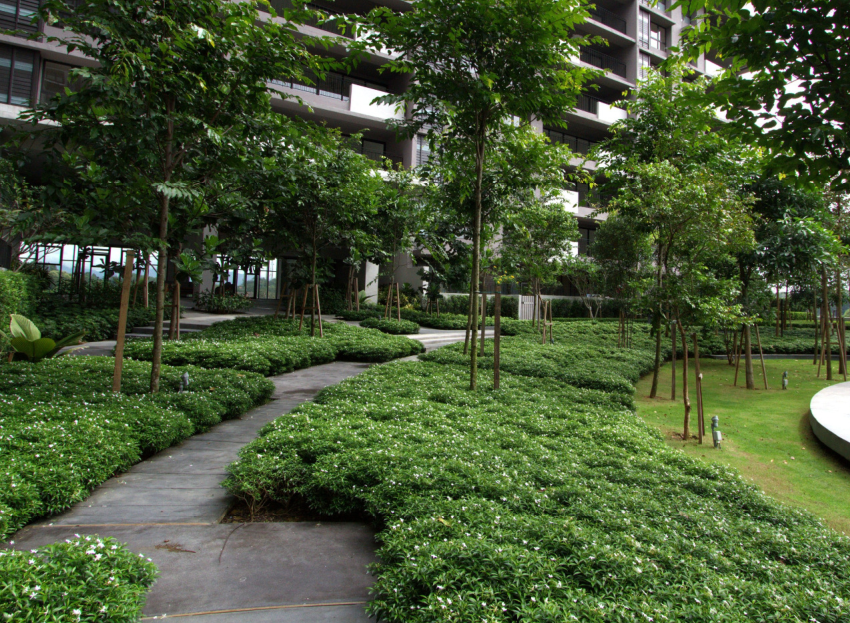 森林的再現(xiàn)-馬來(lái)西亞Azelia住宅區(qū)景觀