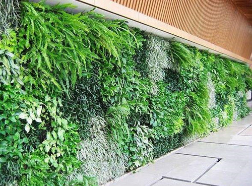 植物墻和垂直綠化是一個(gè)概念嗎？