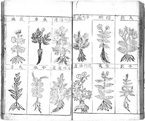 植物科學(xué)畫，宜興有名家