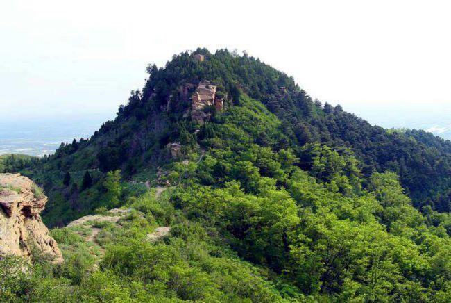 陜西武帝山國(guó)家森林公園正式獲批