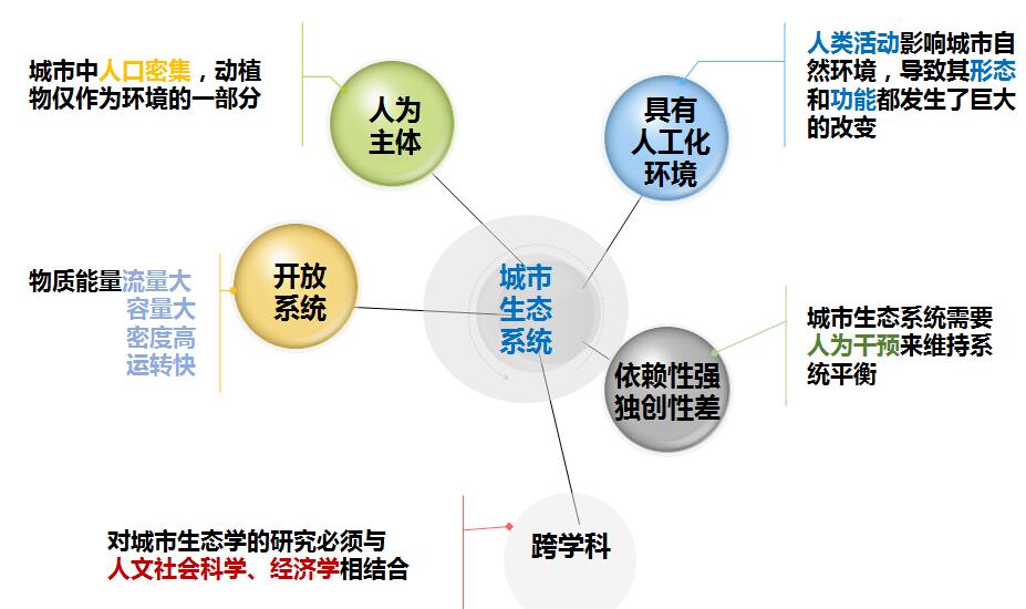 車(chē)生泉：生態(tài)城市與海綿城市