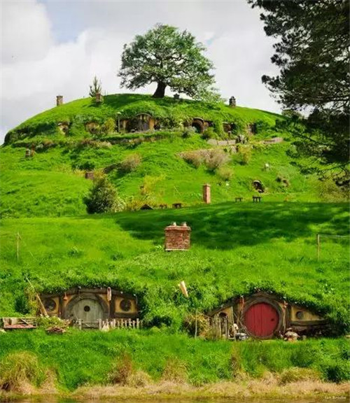 綠植代替瓦片，覆土建筑讓景觀天人合一！