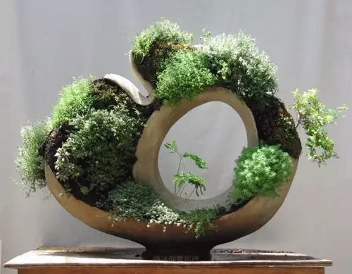 超有創意，是雕塑還是花盆？