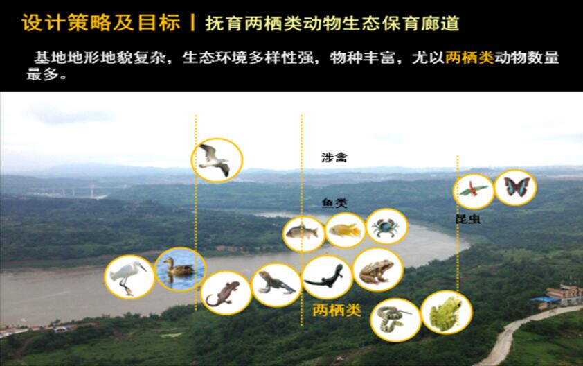 專業(yè)獎：金海灣公園峽江風(fēng)貌展示區(qū)規(guī)劃設(shè)計