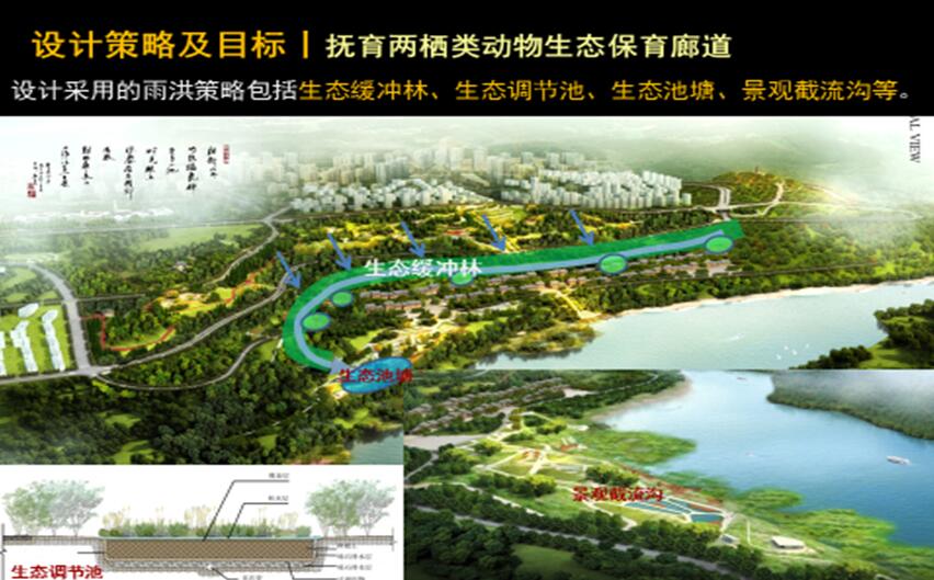 專業(yè)獎：金海灣公園峽江風(fēng)貌展示區(qū)規(guī)劃設(shè)計