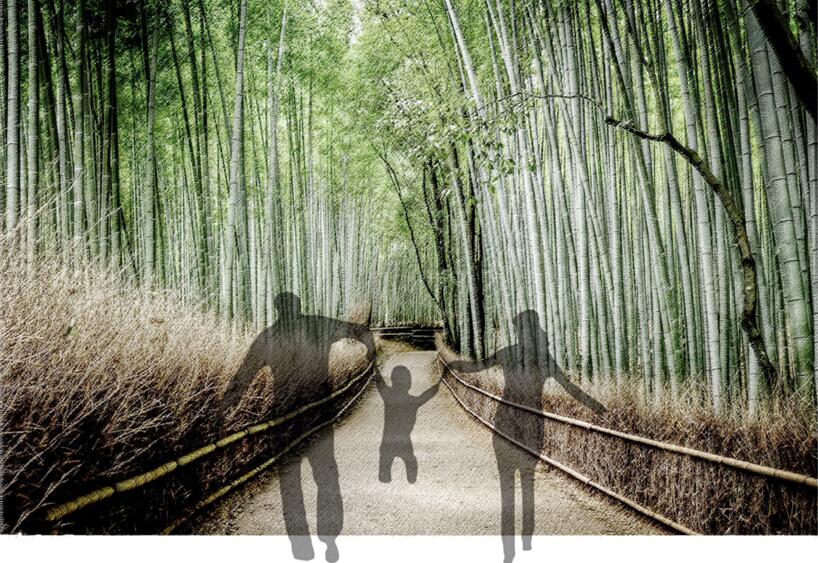專業(yè)獎：金海灣公園峽江風(fēng)貌展示區(qū)規(guī)劃設(shè)計