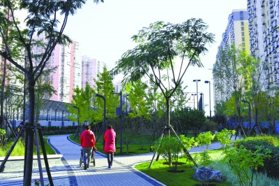 北京南二環(huán)邊“雨水花園”今起開(kāi)放