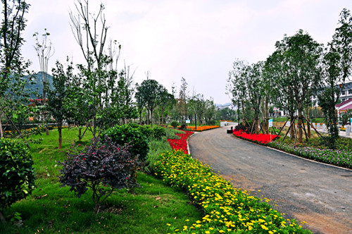 園冶杯專(zhuān)業(yè)獎(jiǎng)：貴州小城鎮(zhèn)發(fā)展大會(huì)主會(huì)場(chǎng)