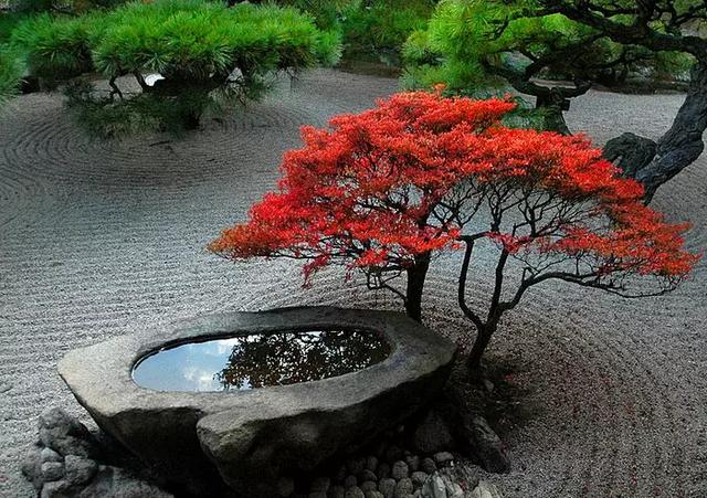 佛系庭院，就是極致空靈！