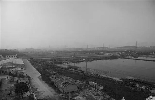 東莞生態園：海綿城市為術，區域整合為道