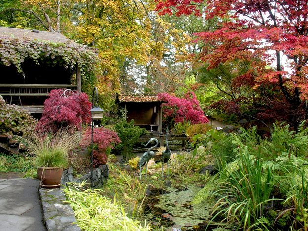 藝術家創(chuàng)造花園的方法