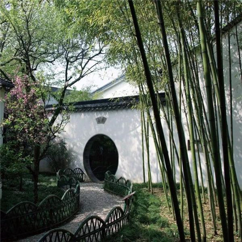 在中國(guó)古典園林中尋摸中華文化的審美意識(shí)