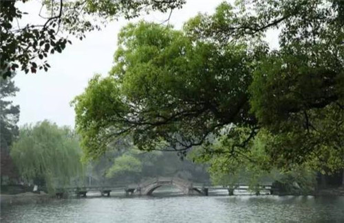 在中國(guó)古典園林中尋摸中華文化的審美意識(shí)