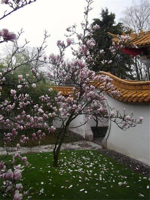在中國(guó)古典園林中尋摸中華文化的審美意識(shí)