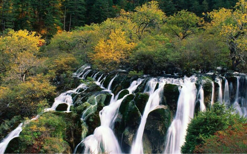 王達：從庭院到風景，重回中國造園的原點