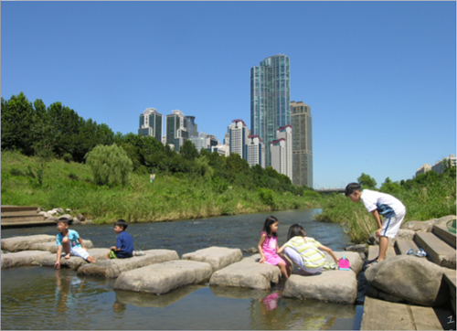 樸基淑：都市河川的生態修復