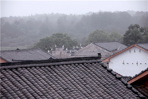 “趣村夏木塘”新聞發(fā)布會(huì)在江西萬(wàn)安舉行