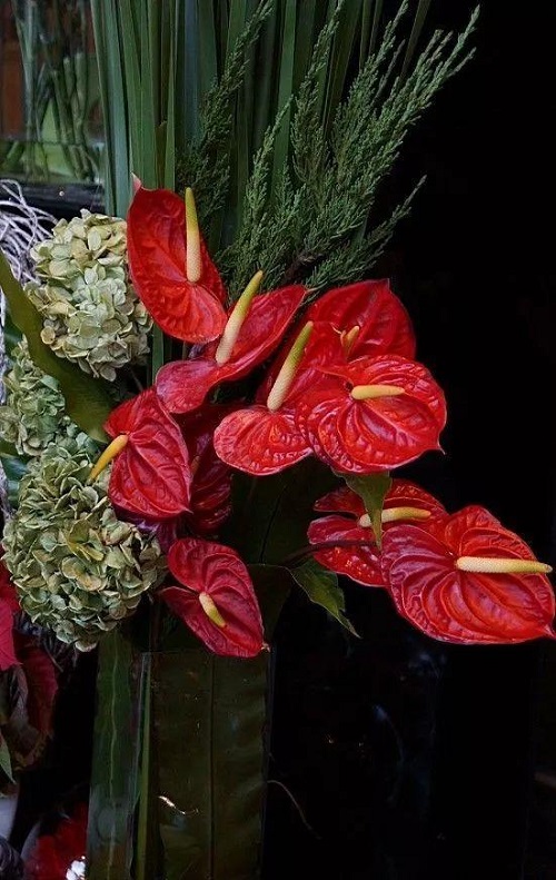 插花入門篇｜小白選手從認識常見花材開始