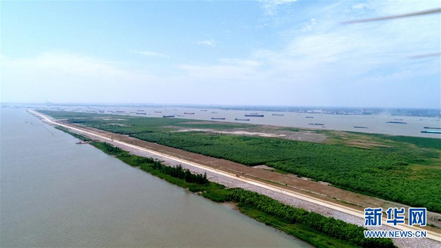 江蘇泰興：生態(tài)修復(fù)　“詩化”岸線