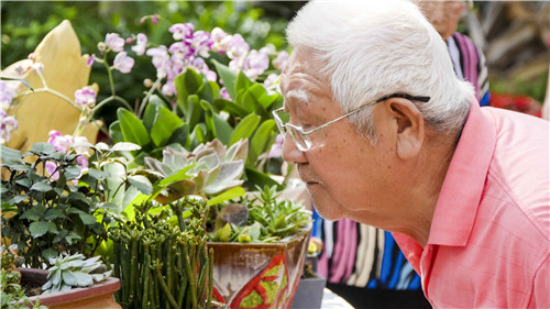 中國插花泰斗王蓮英獻(xiàn)藝河北省第二屆園博會