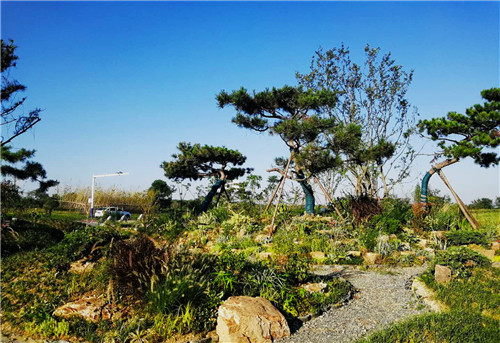 園冶杯專業(yè)獎：巢湖市烔長路景觀工程