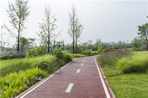 園冶杯專業(yè)獎：巢湖市烔長路景觀工程