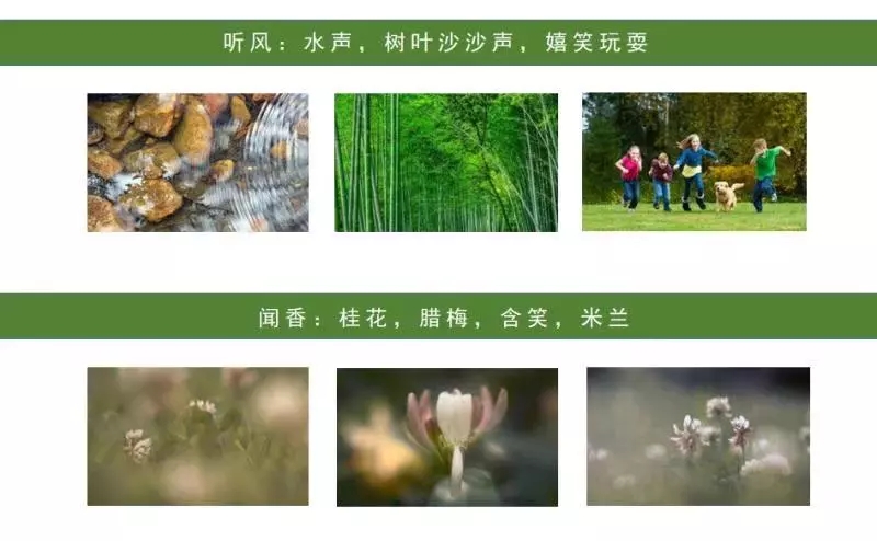 園冶杯專業(yè)獎：聯(lián)投·棲夢臺示范區(qū)