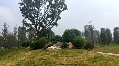 園冶杯專業(yè)獎：資陽高新區(qū)中韓創(chuàng)新創(chuàng)業(yè)園資陽基地華西牙科產(chǎn)業(yè)園景觀工程