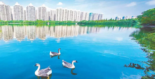 引領(lǐng)城市未來，中國“公園城市”建設(shè)前路美好