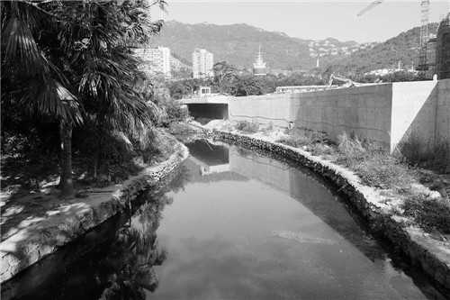 文科園林丨深圳大梅沙河景觀改造設(shè)計(jì)