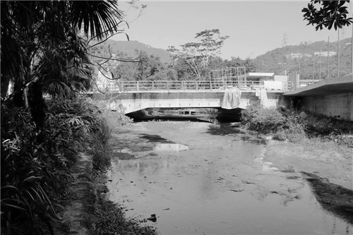文科園林丨深圳大梅沙河景觀改造設(shè)計(jì)