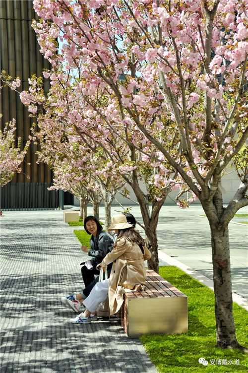 Ramboll Share | 國(guó)銳金嵿生態(tài)公園社區(qū)-環(huán)境友好型景觀設(shè)計(jì)與雨洪管理實(shí)踐