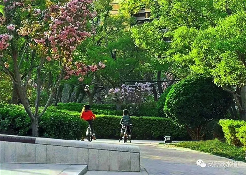 Ramboll Share | 國(guó)銳金嵿生態(tài)公園社區(qū)-環(huán)境友好型景觀設(shè)計(jì)與雨洪管理實(shí)踐