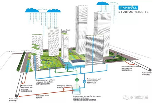 Ramboll Share | 國(guó)銳金嵿生態(tài)公園社區(qū)-環(huán)境友好型景觀設(shè)計(jì)與雨洪管理實(shí)踐