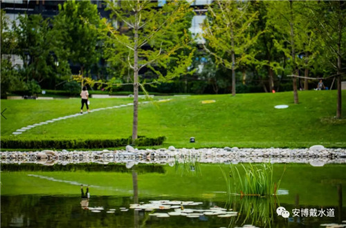 Ramboll Share | 國(guó)銳金嵿生態(tài)公園社區(qū)-環(huán)境友好型景觀設(shè)計(jì)與雨洪管理實(shí)踐