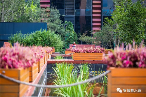 Ramboll Share | 國(guó)銳金嵿生態(tài)公園社區(qū)-環(huán)境友好型景觀設(shè)計(jì)與雨洪管理實(shí)踐