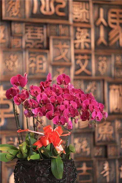2019園冶杯專業(yè)獎丨金領(lǐng)·九如意項目景觀設(shè)計